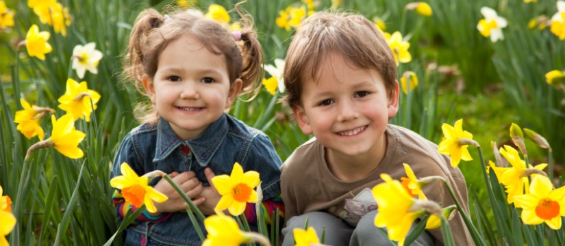 istock_000010991653small.jpg