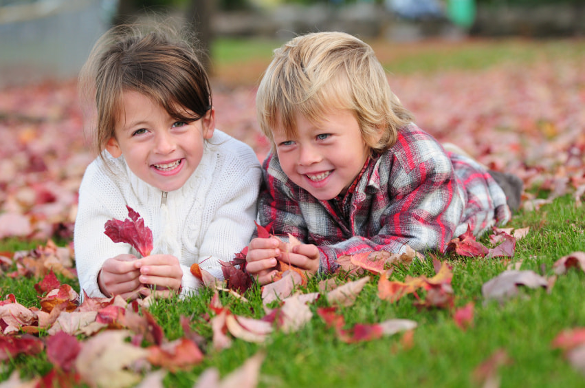 istock_000017278913small.jpg